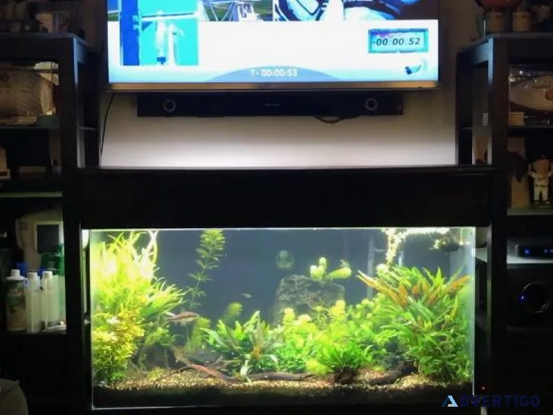 90 Gallon Acrylic Aquarium Complete e Tons of Extras