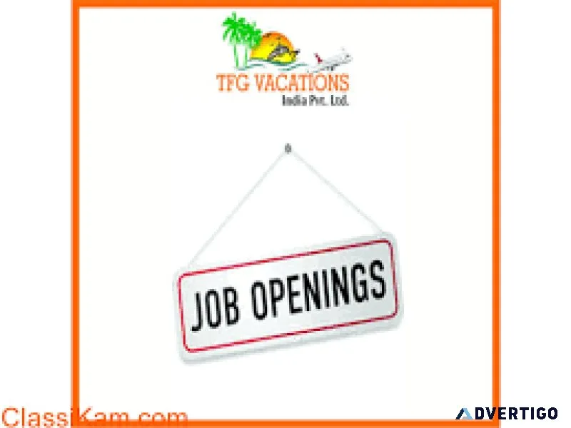 Back Office Executive
