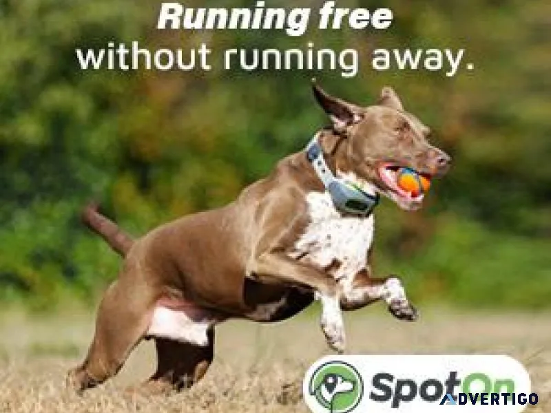 SpotOn - GPS Fence for Dogs