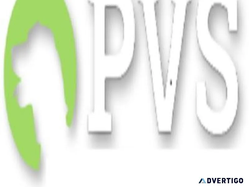 Pet Wellness Testing and Exams As Well As Special Care