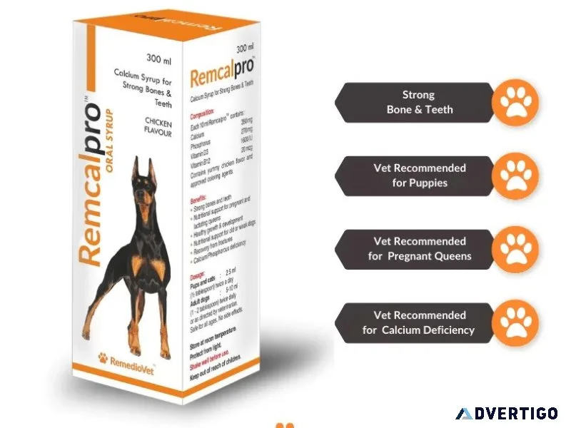 Canine care essentials: calcium syrup for dogs