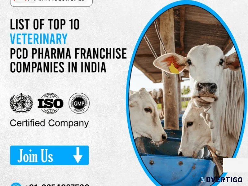 Top 10 veterinary pcd companies in india