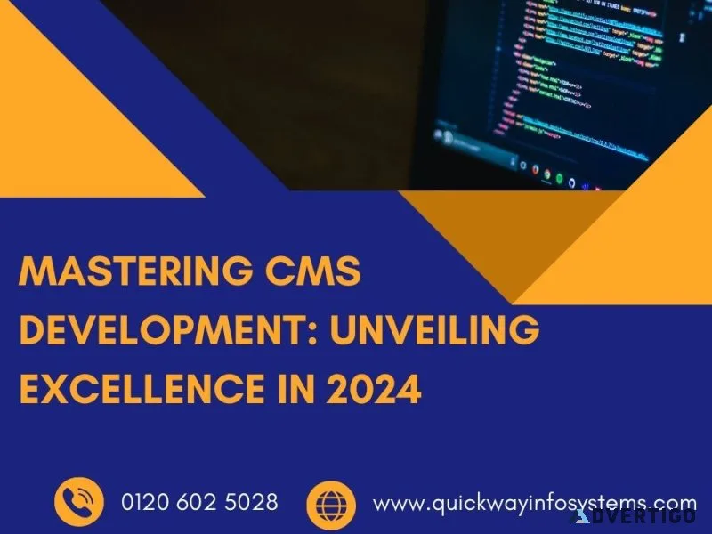 Mastering cms development: unveiling excellence in 2024