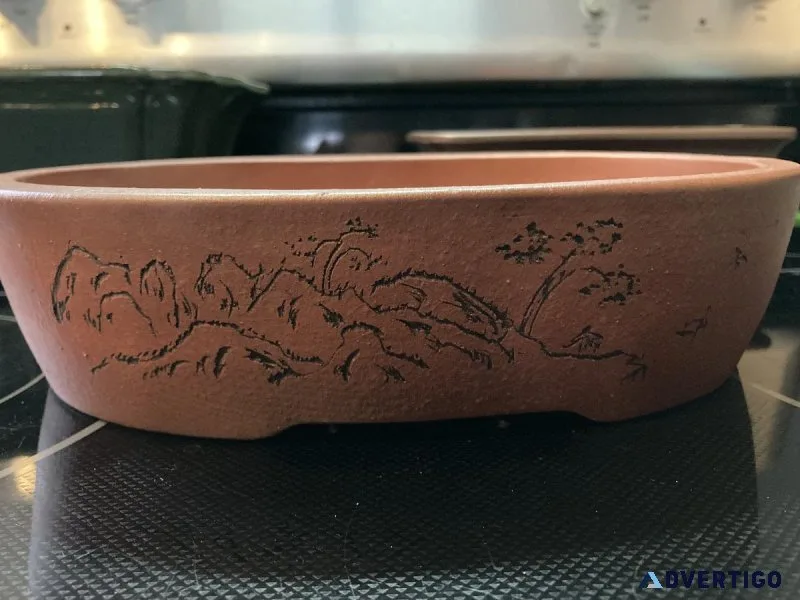 Many bonsai pots