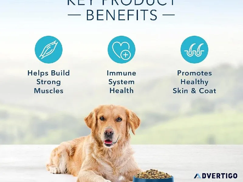Blue Buffalo Life Protection Formula Natural Adult Dry Dog Food