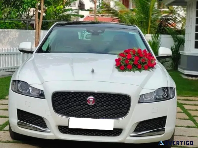 Luxury car rental