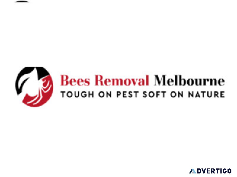 Bees removal melbourne
