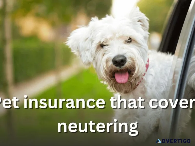 Pet insurance that covers neutering