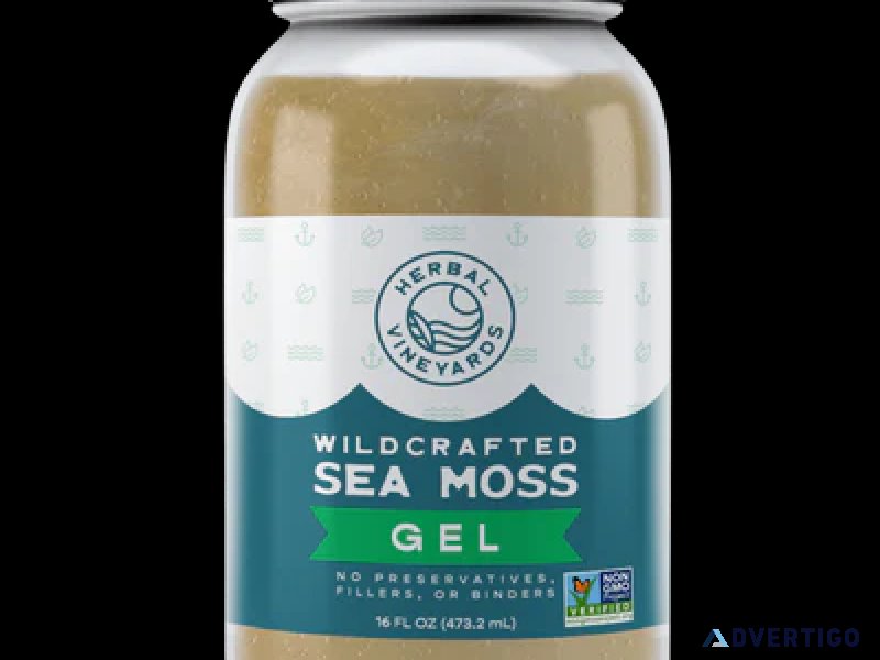 Discover wellness with herbal vineyards sea moss gel
