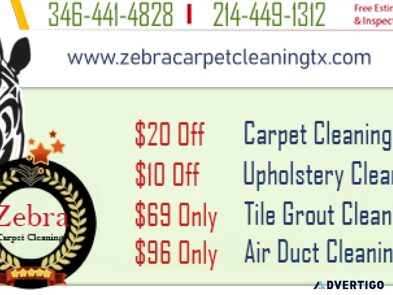 Zebra Carpet Cleaning League City TX