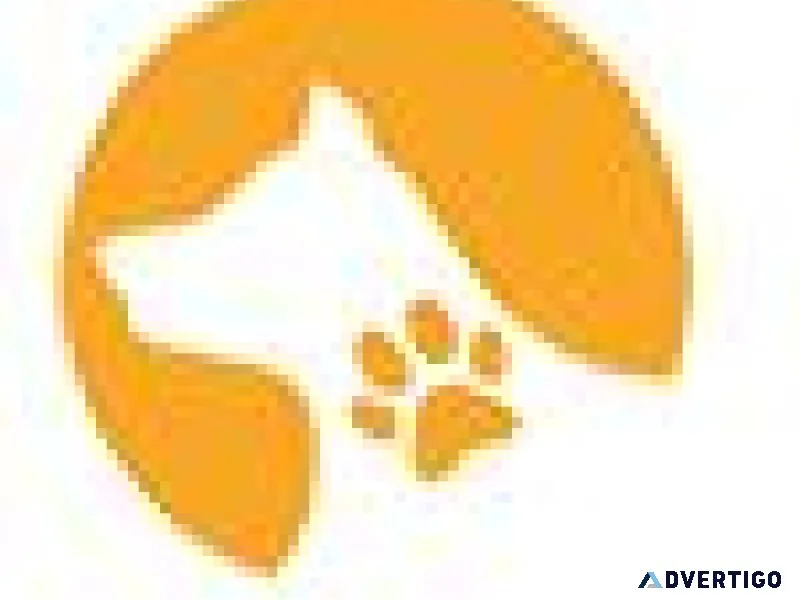 AirPets Relocation Services Pvt Ltd