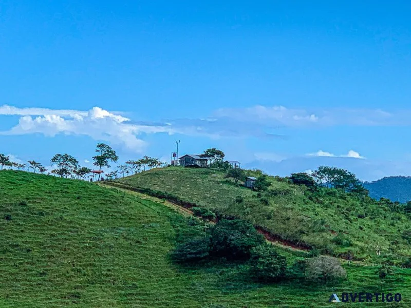 Find the best property deals on the land of costa rica