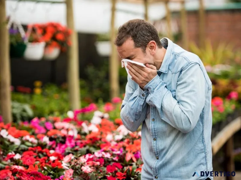 Natural remedy for respiratory allergy