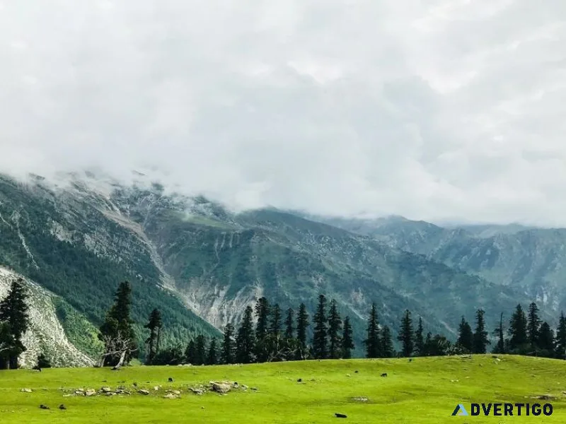 Best places to visit in srinagar