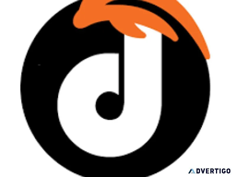 Dolphin web solution
