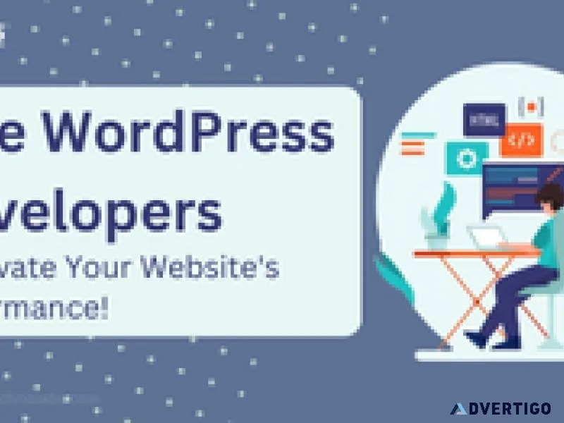 Hire wordpress developers to elevate your website s performance
