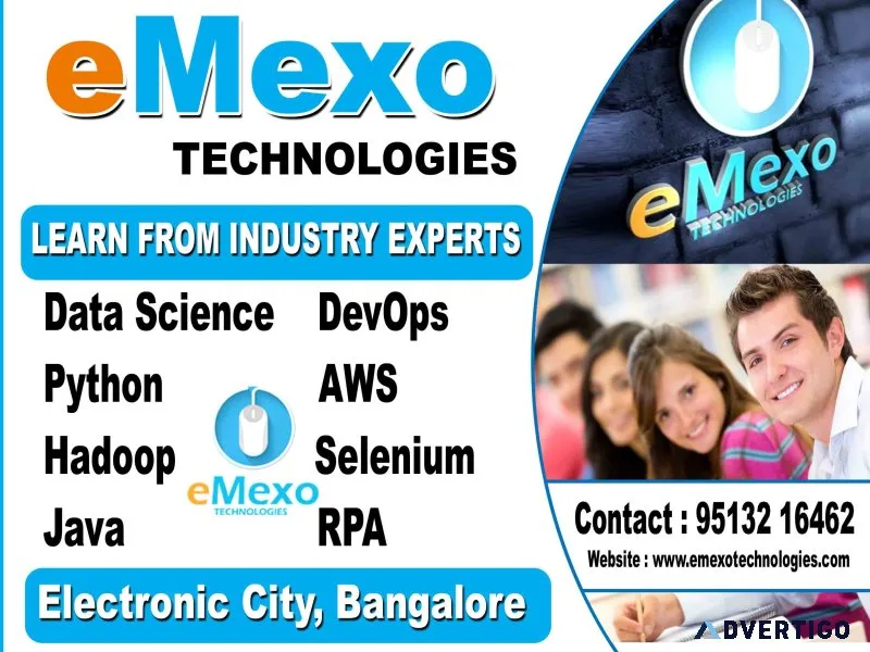 Best software training institute in electronic city bangalore