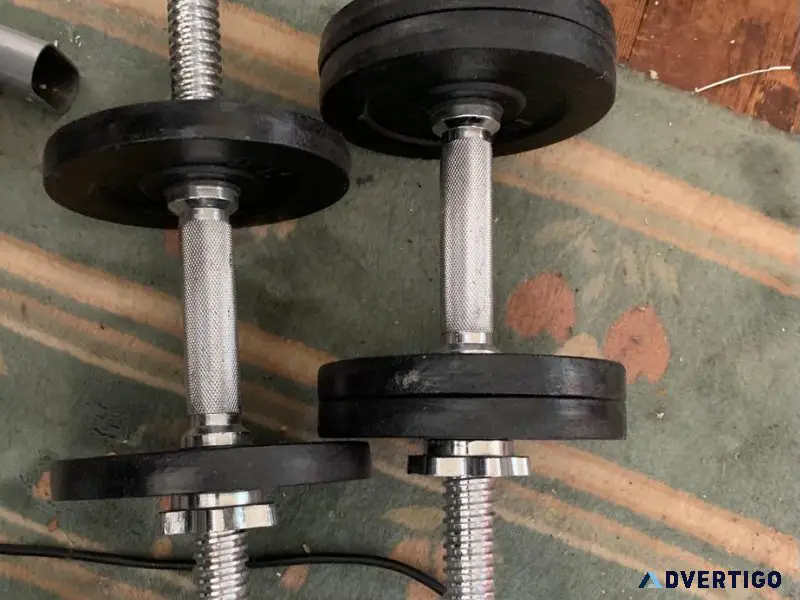 Weight Dumbbells and Chest Expansion Spring
