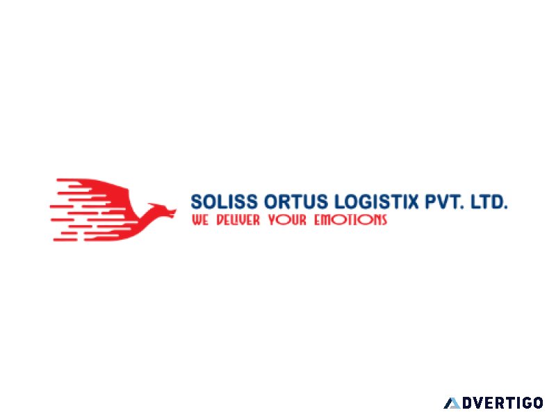Soliss ortus logistix : courier services in jaipur