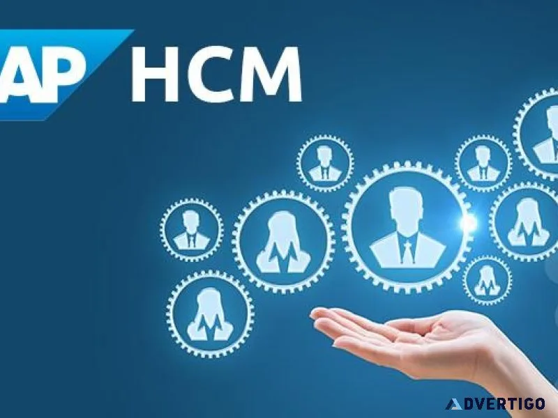 Learn SAP HCM  Lifetime access to SAP Server for practice
