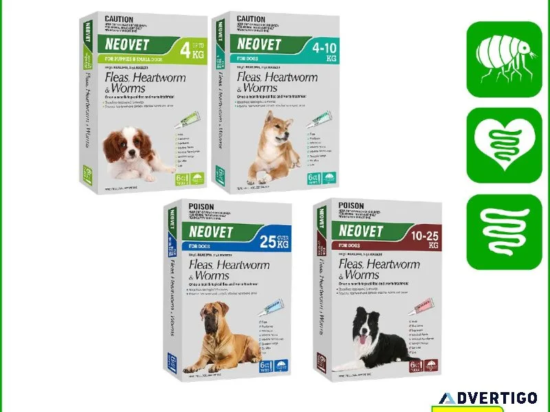 Does your Dogs encountered with Fleas Heartworms and Worm