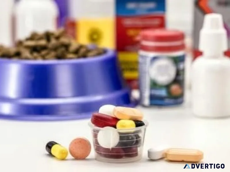 Wholesale veterinary medicine