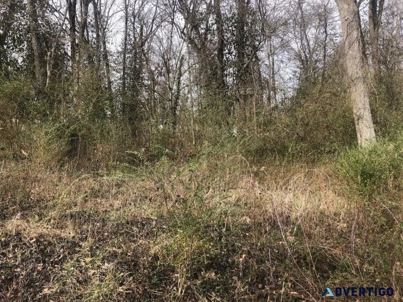 Land For Sale in Beautiful Cherokee Village AR