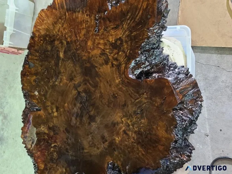 Beautiful Live Edge Black Walnut Round 38&quot coffee Table