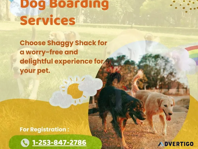 Dog Boarding Services in Lakewood