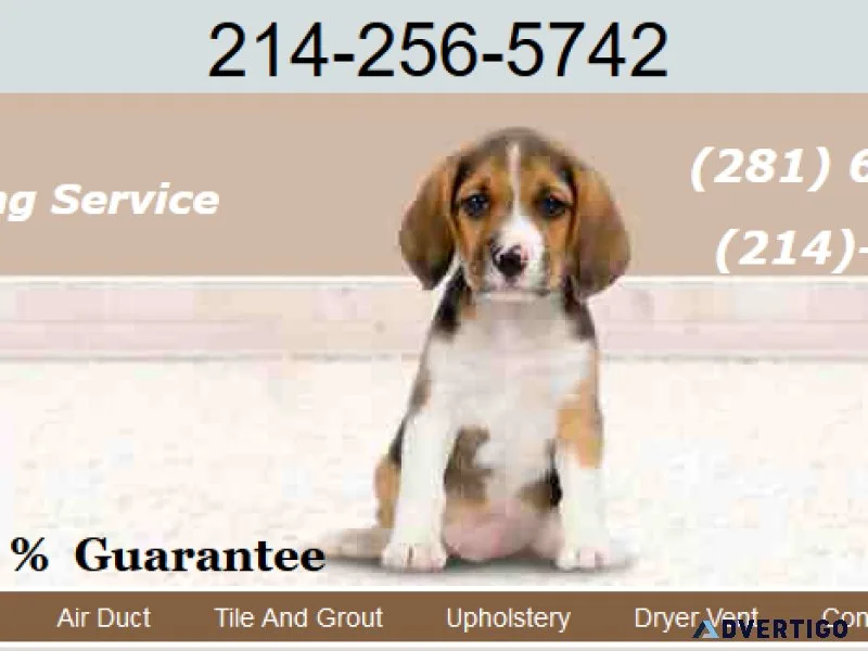 Carpet Cleaning baytown