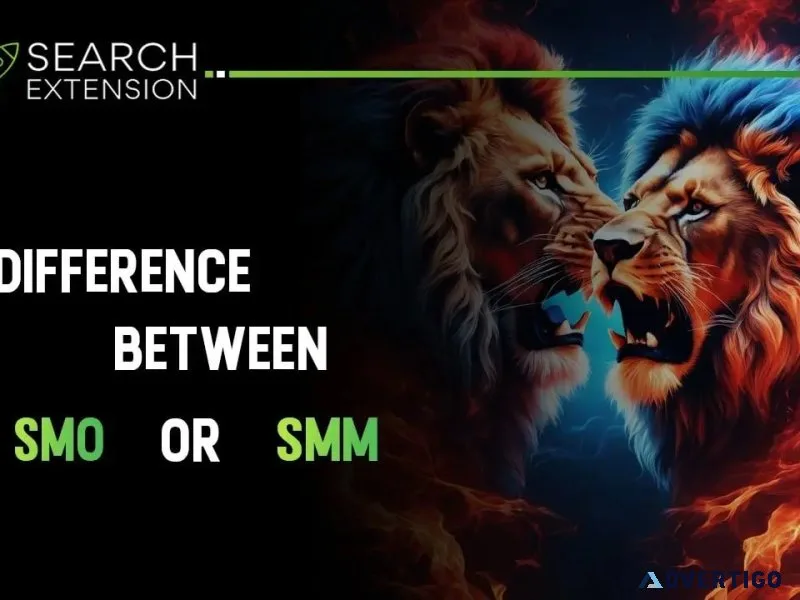 Do you want to know the difference between smo and smm ?