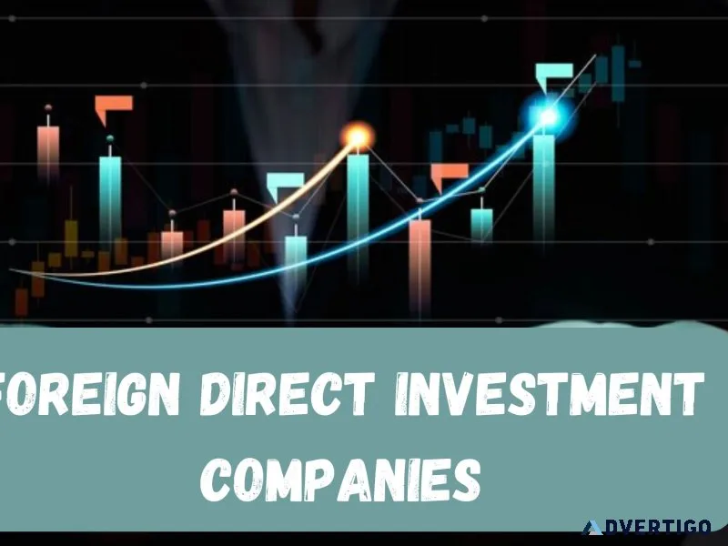 Foreign direct investment companies