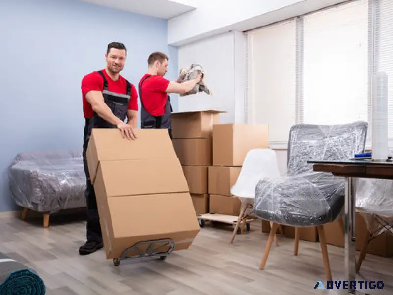 Movers and packers dilshad garden - state cargo packers & movers