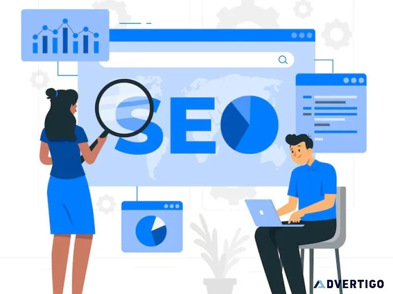 Seo services provider company / agency in delhi