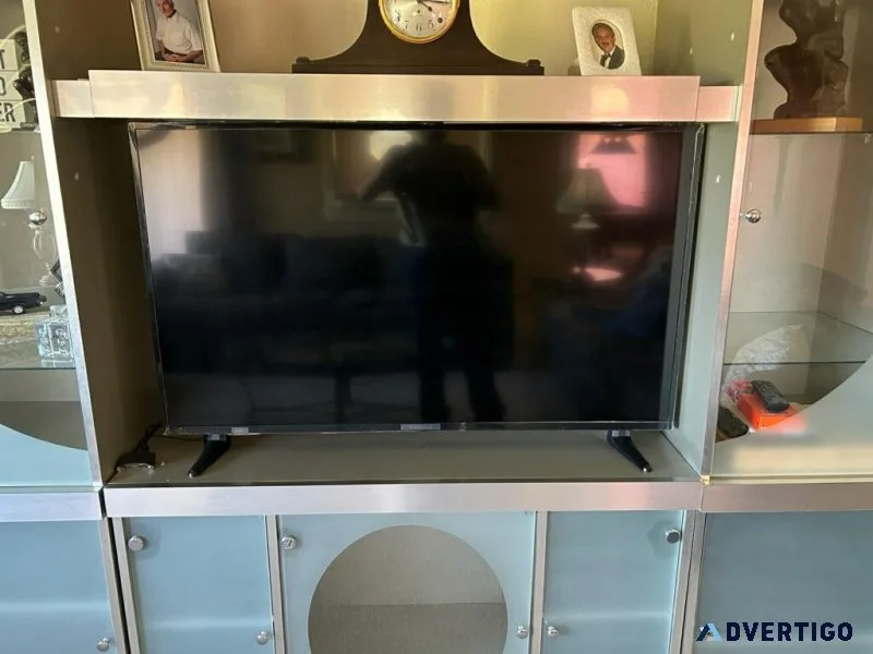 Insignia 50&quot TV