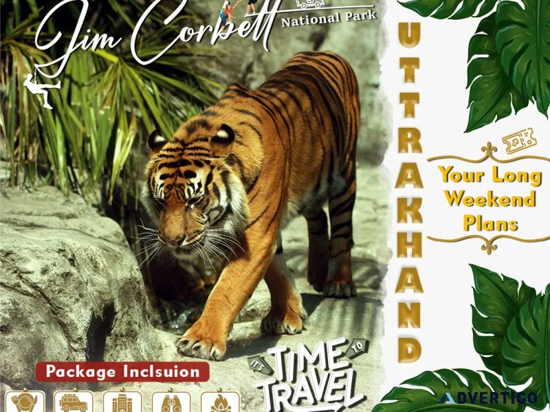 Corbett Fun Tour With 1 Jeep Safari