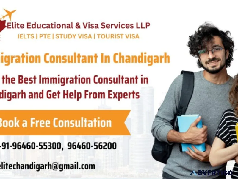 Immigration consultant in chandigarh