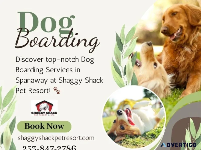 Dog Boarding Services in Spanaway