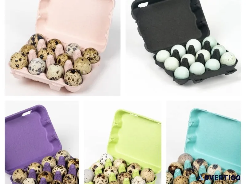 Poultry cartons: eco-friendly egg cartons supplier