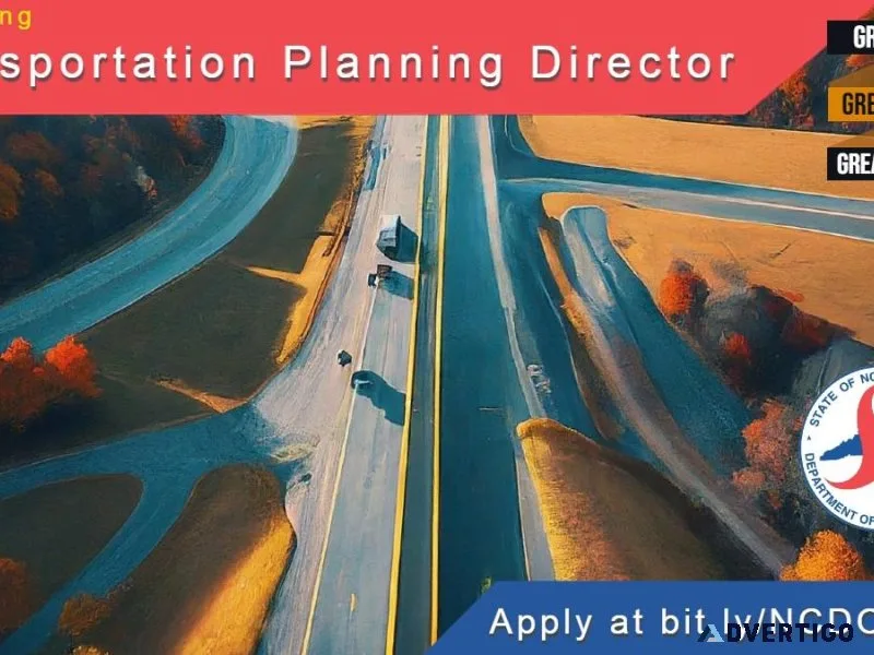 Director of Transportation Planning Division