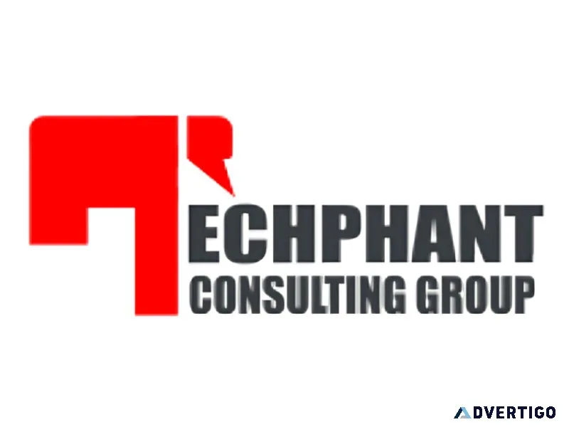 Techphant consulting group