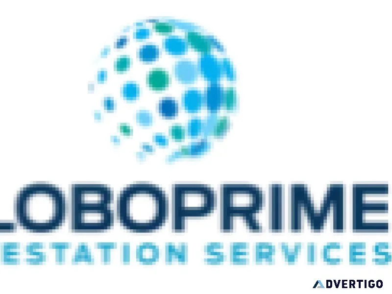 Unlock success: best attestation agency in dubai