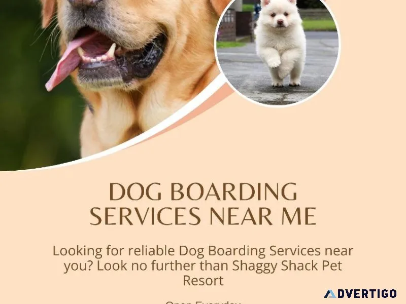 Dog Boarding Services Near Me