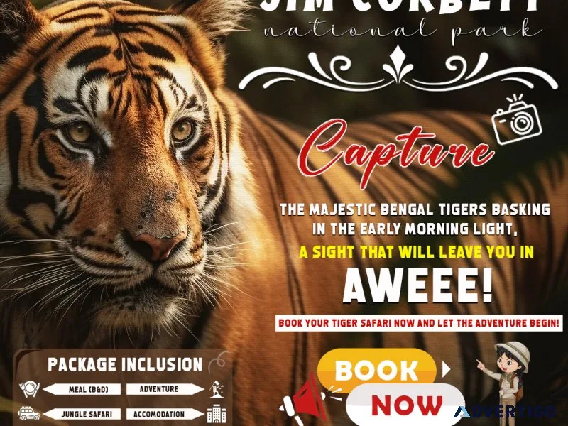 Book Corbett fun tour with  2 jeep safari