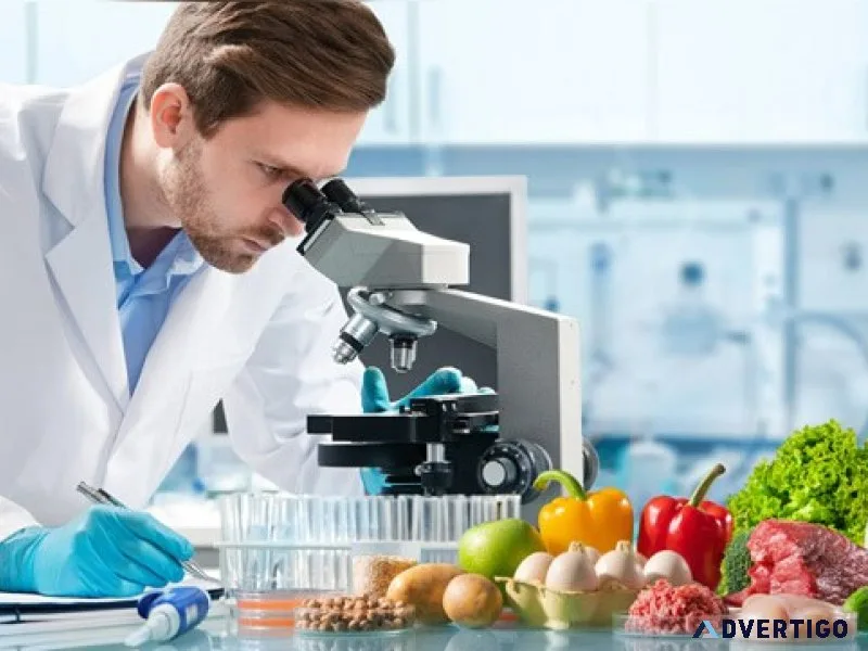 Elevate your Food Quality: EKO TESTING LABS 
