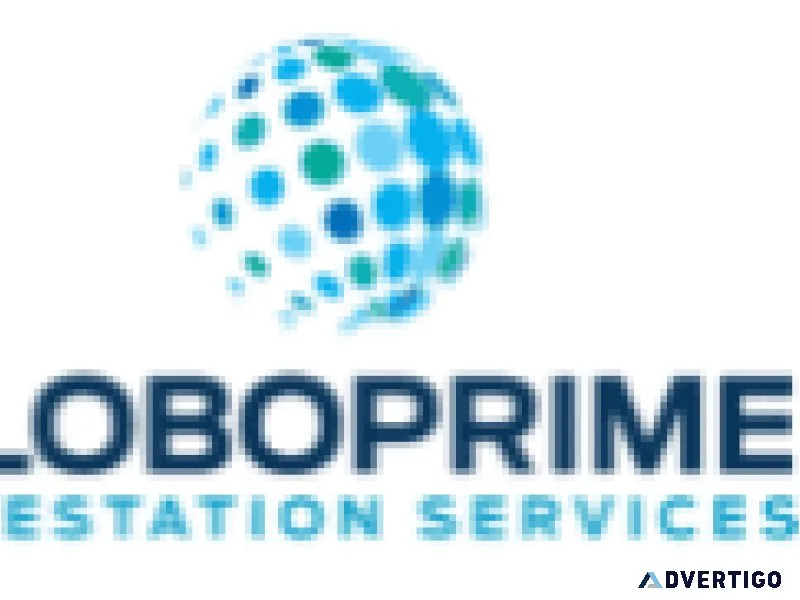 Get your documents sorted: uae attestation services in dubai