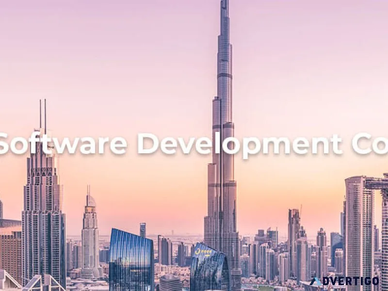 Travel software development