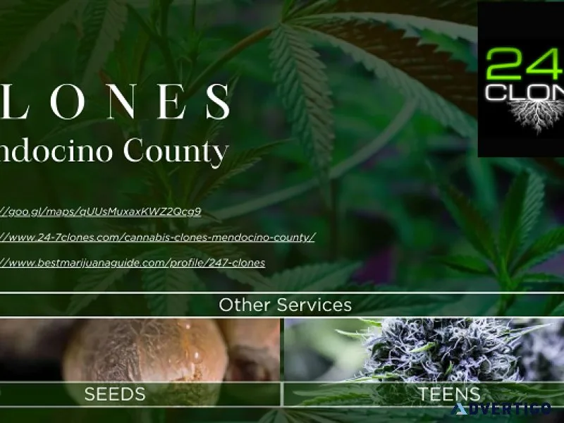 Clones Mendocino County