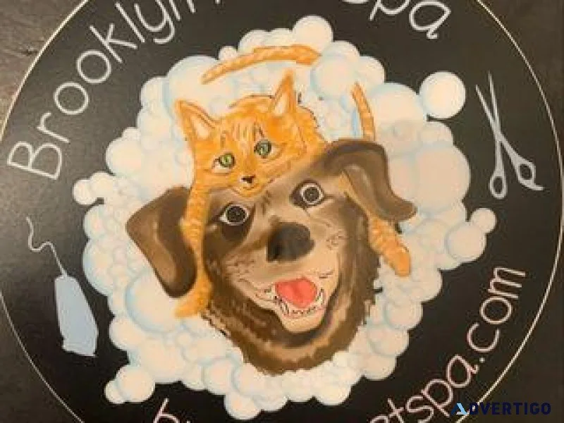 Brooklyn Pet Spa