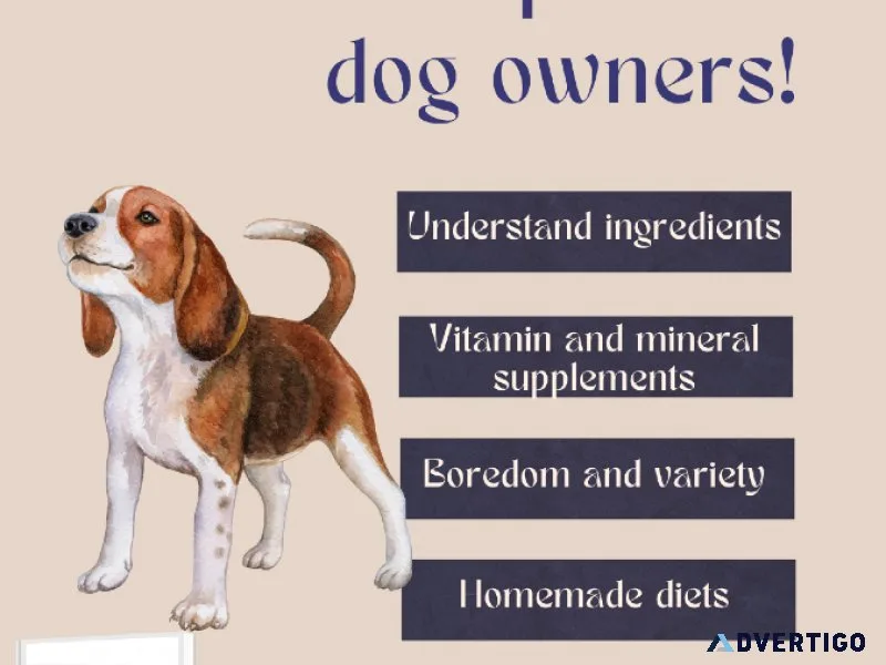 Perfect guide for imperfect dog owners